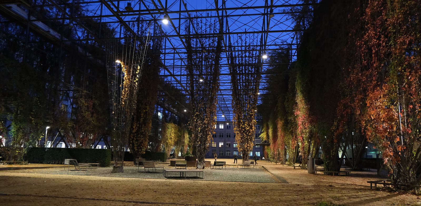 Zurich's Arts Scene Transforms City Identity Across Districts This Weekend