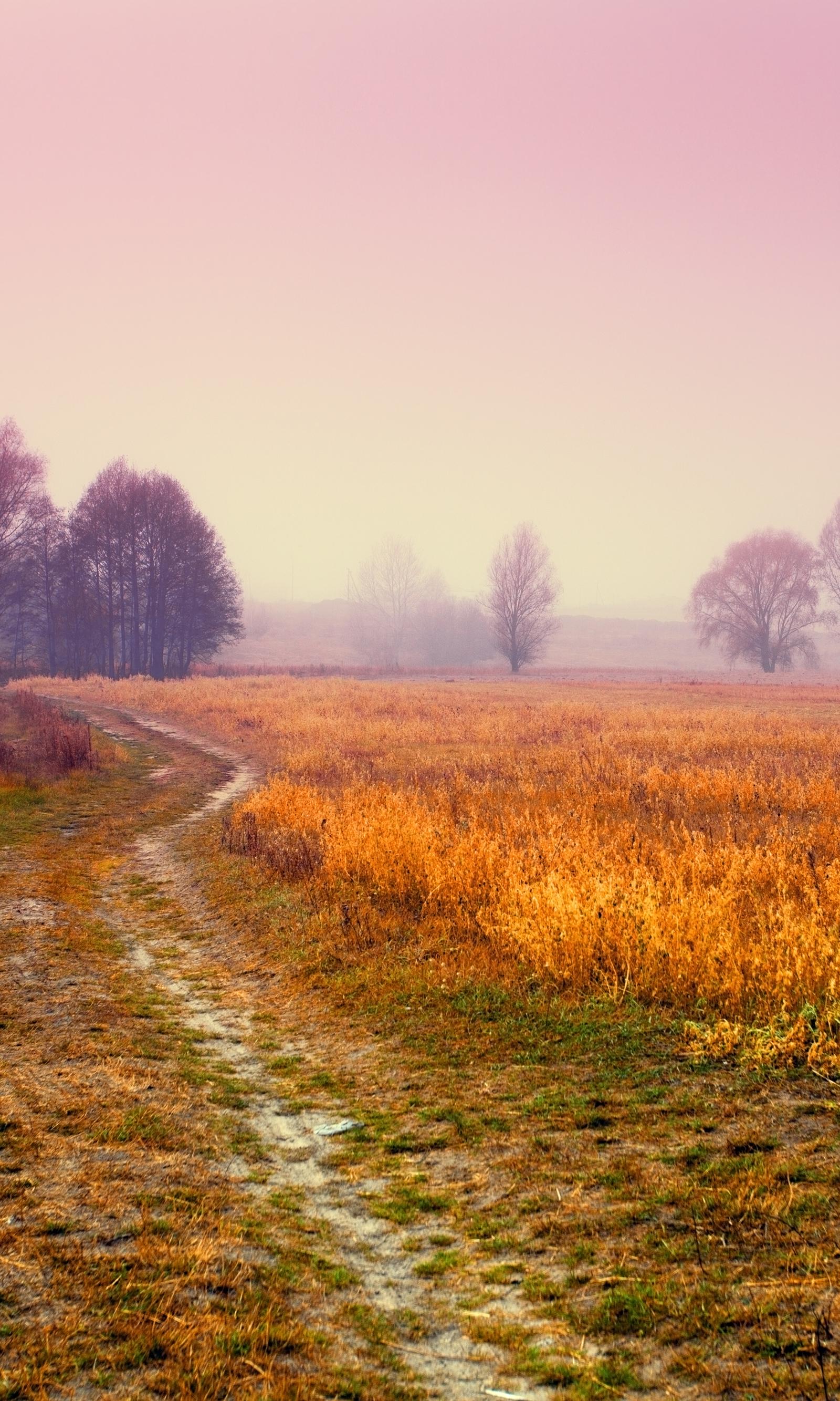 Zurich's Early Risers Transform Health Through Sunrise Rituals