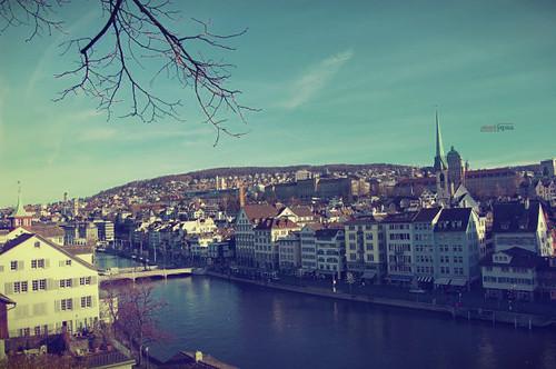 Zurich Swimmers Discover 12 Best Outdoor Pools for Summer Laps